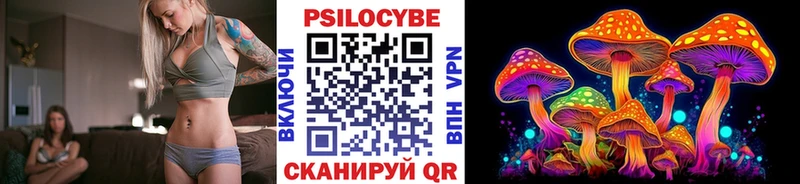 Галлюциногенные грибы Psilocybe  Лысково 
